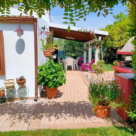 Apartment Casa Fiorita *